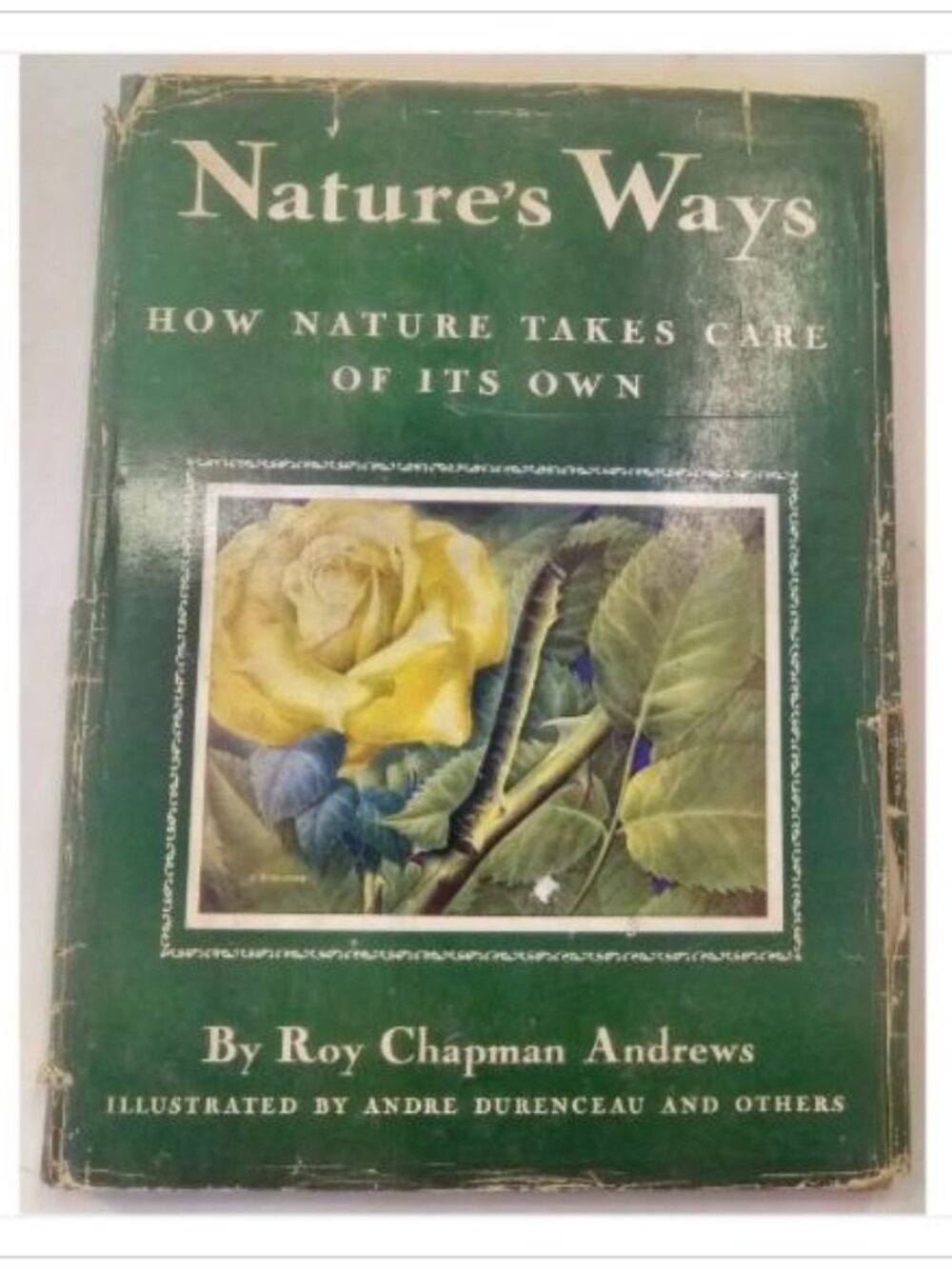 Nature's Ways How Nature Takes Care of Its Own HC